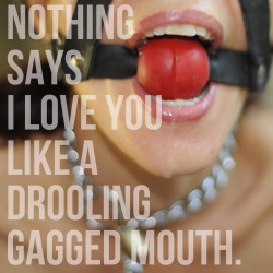 mouthowner:  I love you gagged 