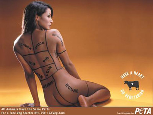 recoveringhipster:  Objectification and body shaming in PETA ads (an introduction).