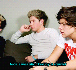 harryniips:  Whats the craziest rumor you’ve heard about yourself in the past year?