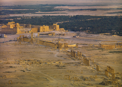 archaicwonder:Palmyra, SyriaPalmyra was originally an oasis settlement, called Tadmor, in the northe
