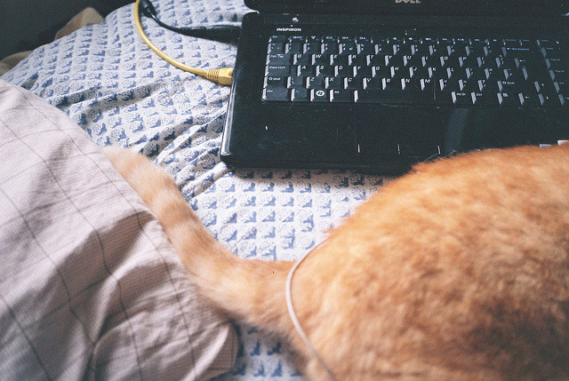 oursoulsareone:  untitled by Laura.Oliver on Flickr. 