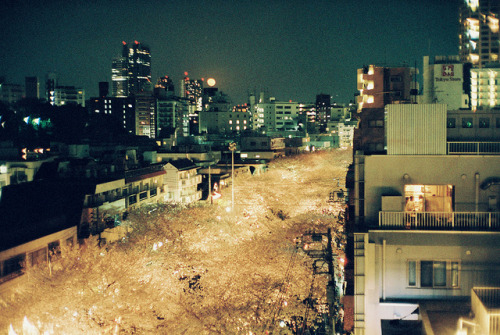 dreams-of-japan:  untitled by willgoodan on Flickr.