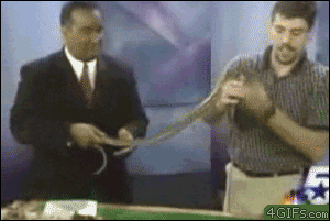 laugh-addict:  via laugh-addict 