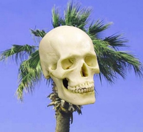 desconsuelo