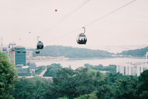 adieuu:  F1000026 by intodarkerwaters on Flickr. 