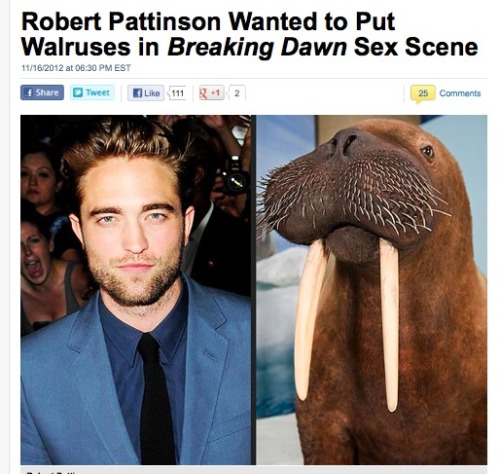 theangelshavetheearhat: danisnotouchingbutts: mirandayoung: ROB I AM 300% DONE WITH YOU OMG I LITERA