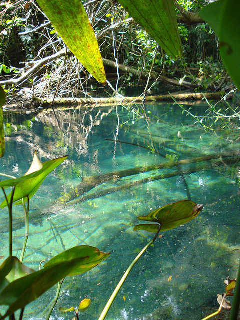 Crystal clear waters of Laguna Lachuá, in the middle of a national park covered with tropical rain f