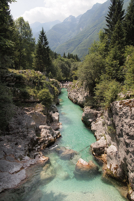 visitheworld:  The beautiful alpine Soča River, also called “The Emerald Beauty” in western Slovenia (by skittledog). 