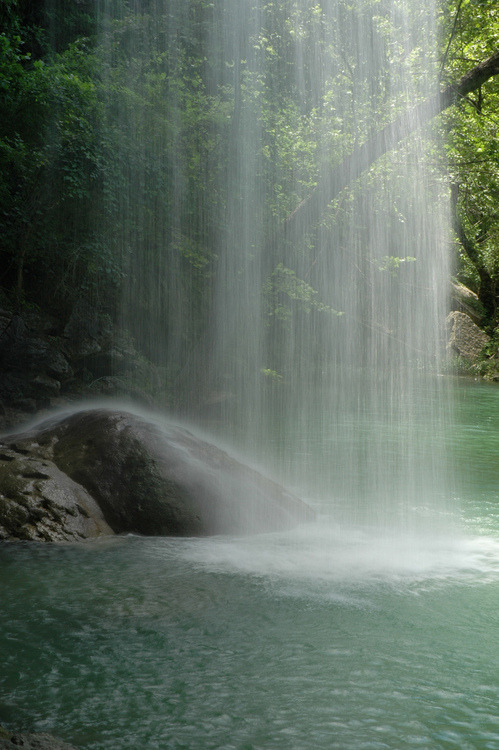 tangy-tropics:  