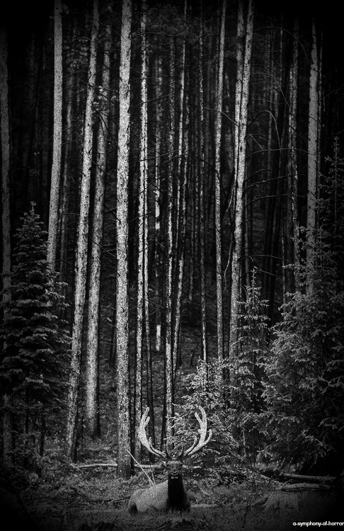 In impenetrable darkness
