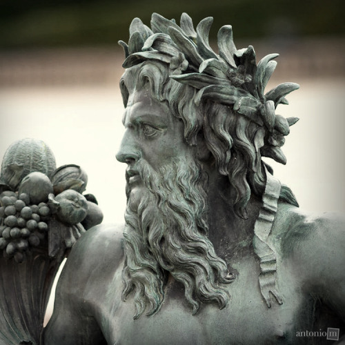 antonio-m: Poseidon (detail), Château de Versailles