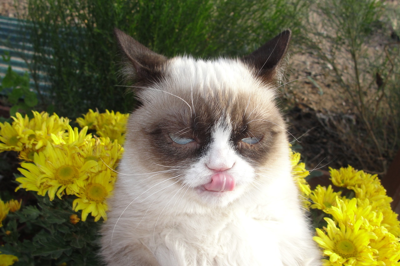 The Daily Grump | November 17, 2012