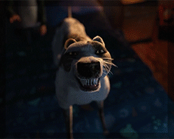 fyjackfrost:  Haha oh Jack, you’re the best 