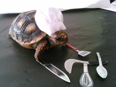 gotabagofsunshine:  I hope this buddy’s not makin’ Escargot…