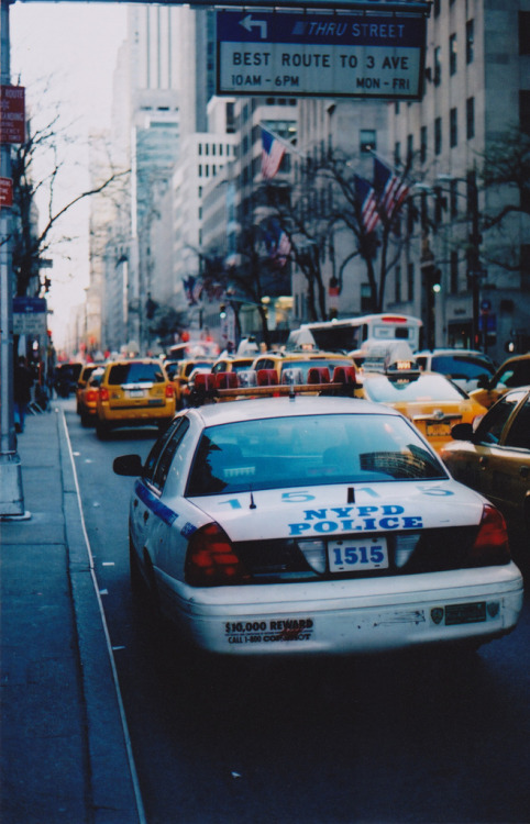 youreababe:Da POPO and 589236 taxi’s