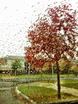 ☁💨💦☔☁hace no buen tiempo #thetypicalraindroponthewindshieldpic