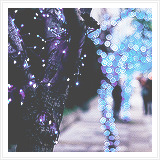  Winter + Lights         