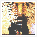  Winter + Lights         
