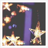  Winter + Lights         