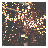  Winter + Lights         