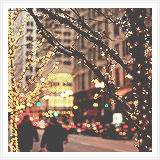 Winter + Lights         