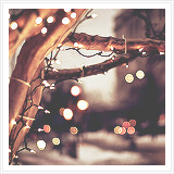  Winter + Lights         