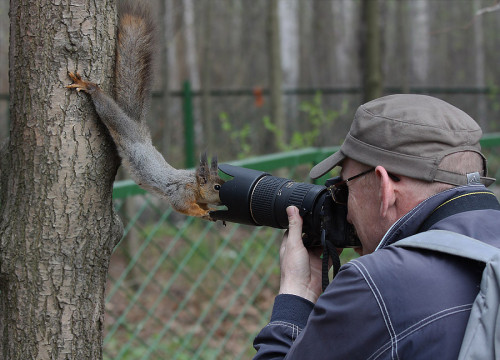 XXX You said you wanted a close-up photo