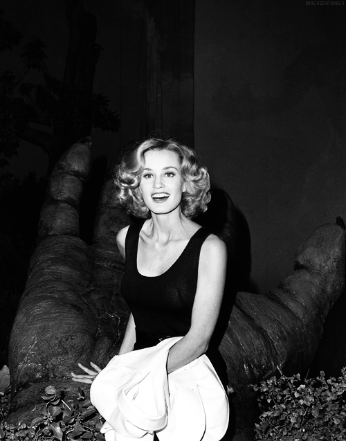 fionagoddess:
“ Jessica Lange @ ‘King Kong’ Press Conference (1976)
”