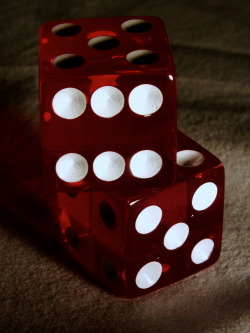 astutely-rill666:  A Roll of The Dice