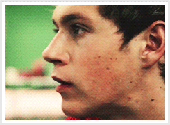 zaynsxo:   PARADE Magazine: Behind the Scenes with One Direction  ↳ niall horan