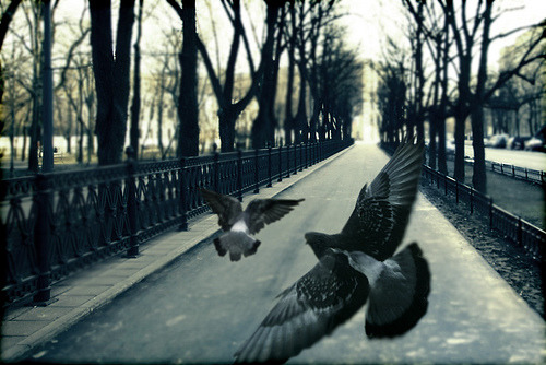 uncoverinq:  (by ˙Cаvin 〄) 