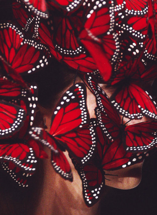 salveo2-deactivated20130804:Alexander McQueen, spring 2008