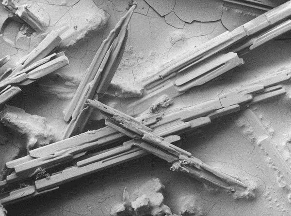 rcruzniemiec:  Snow Amazing photos of snow taken through a microscope found here.