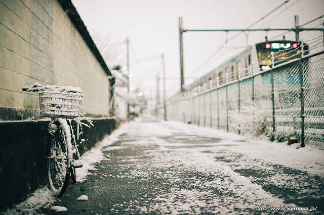 dreams-of-japan:  Snowy morning by asamesi_jp on Flickr. 