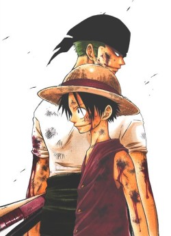 fyluffy:  Zoro & Luffy | by Royal Garden