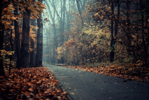 repose:  Autumn; an old haunt (by ewitsoe) 