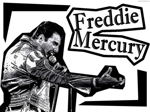 mercury-and-me:milleniummarshlands:Here’s your daily dose of Freddie! Share this!#queen #band #aweso