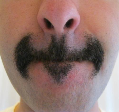 smilinggoddess:  teatray-inthesky:  pourim:  the moustache Gotham deserves  omg.   Wtf