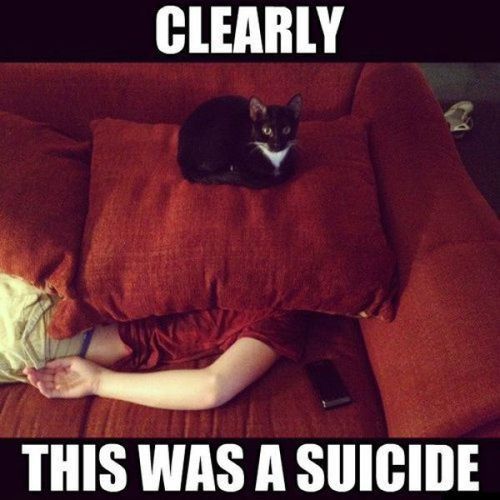Just Funny Pictures