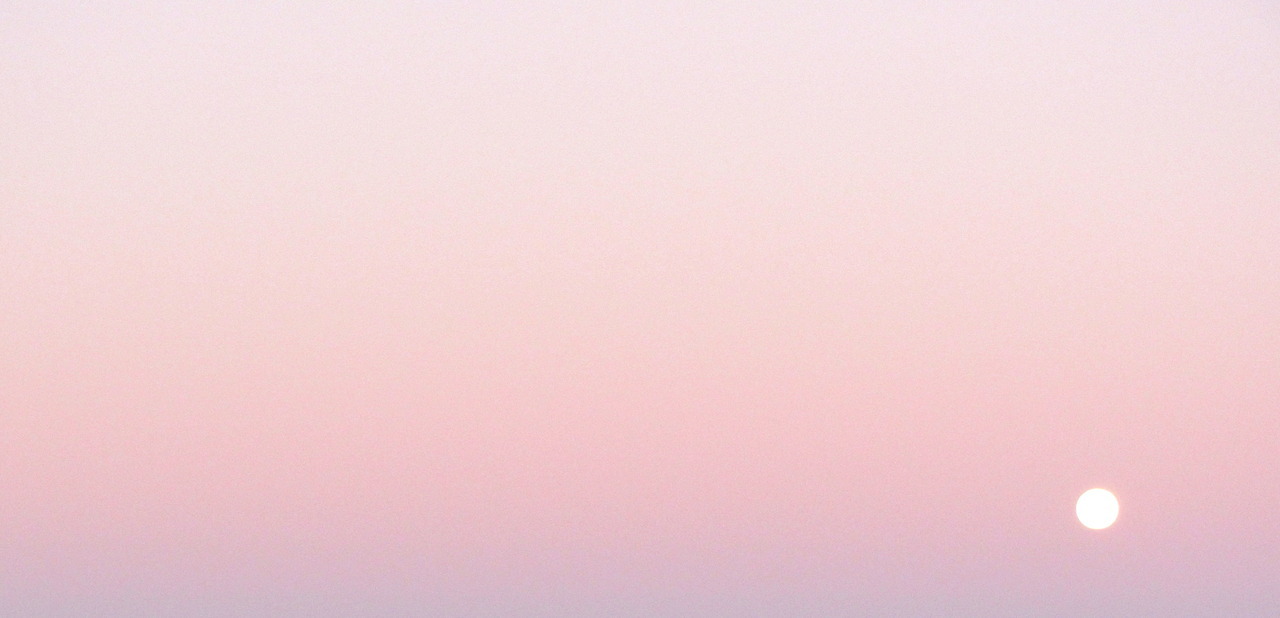 ♡♡♡♡
