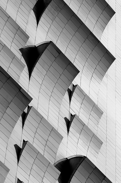 fiore-rosso:  paul galbraith. 