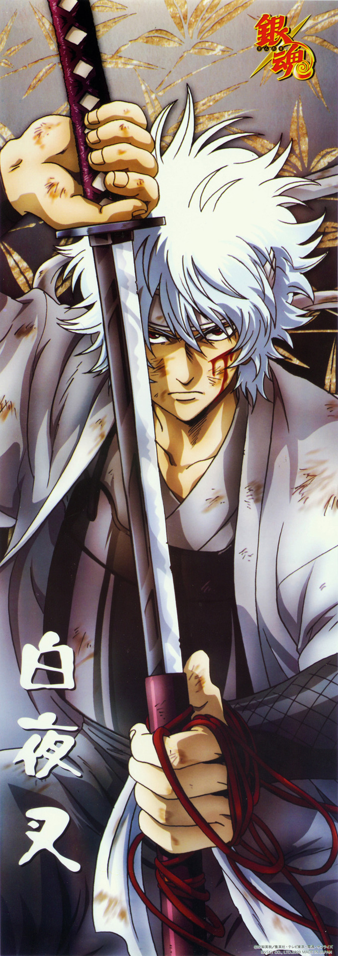 aeternaty:  SAKATA  GINTOKI 