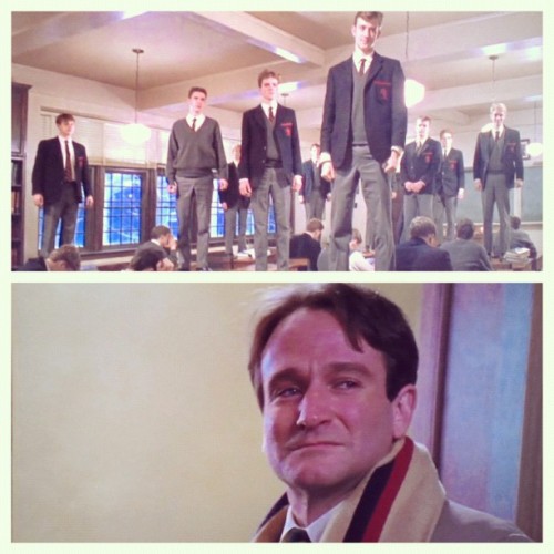 haave-you-met-ted:  oh captain, my captain