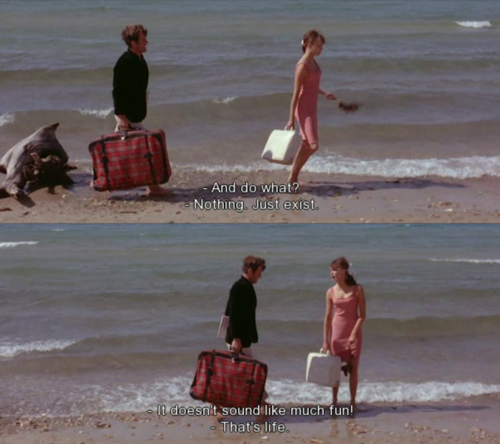 blindsideddd:  Pierrot Le Fou (1965) 