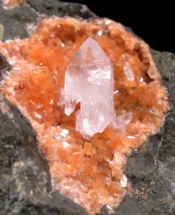 Rare lustrous Quartz Scepter perched on red Stilbite in Basalt matrix / Oregon