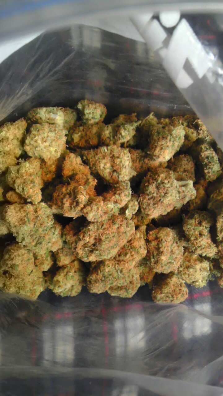 realblondebear:  Quarter pound of master kush 