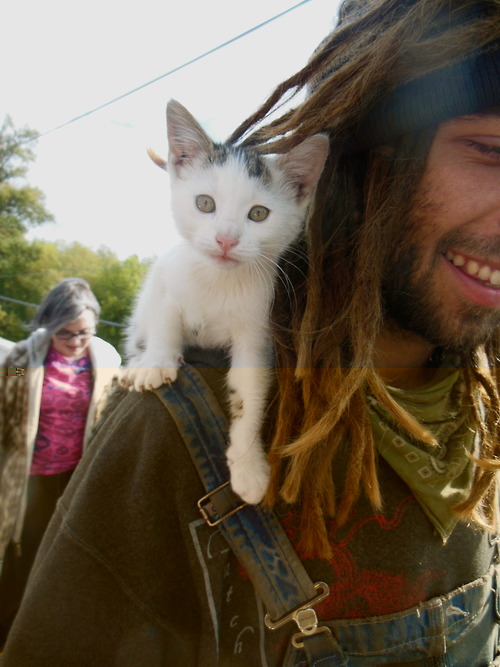Hippies Europe