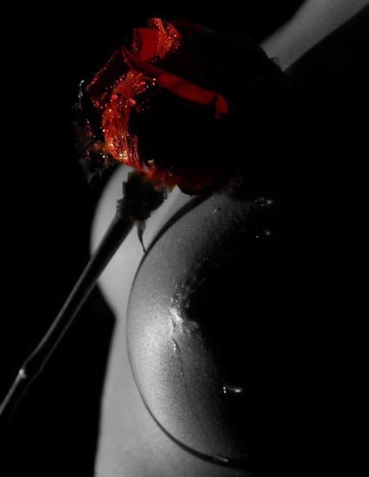 enjoyingtheviews:  mind the thorns now, ladies