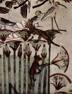 middleofyourpicture:  “Grave chamber of Menna, field clerk of the king, scene: hunting and fishing, detail: cat and mongoose” 