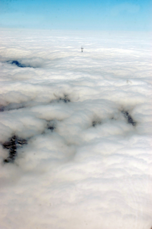 fuckyeahairplaness:  Sutro Tower from A380